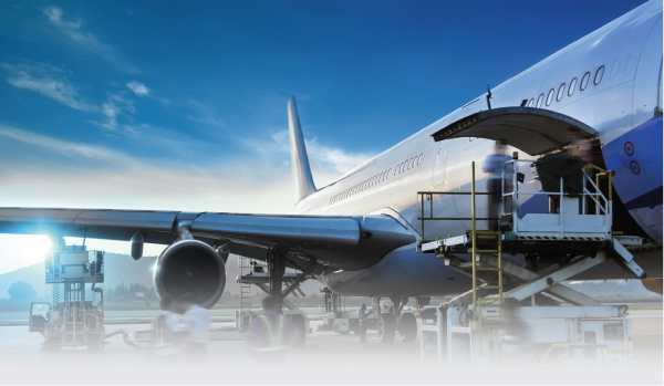 Precision in Motion, Strength in Logistics!